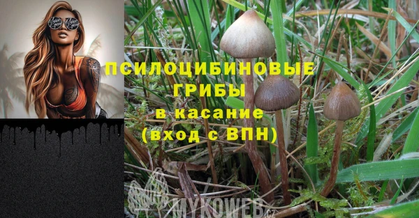 герыч Абаза